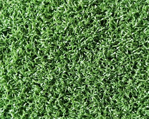 門(mén)球場(chǎng)草絲