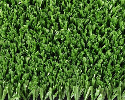 網(wǎng)球場(chǎng)草絲